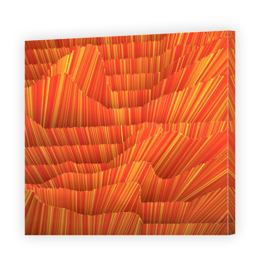 Thumbnail for Canvas - Mirror Image Canvas Wrap