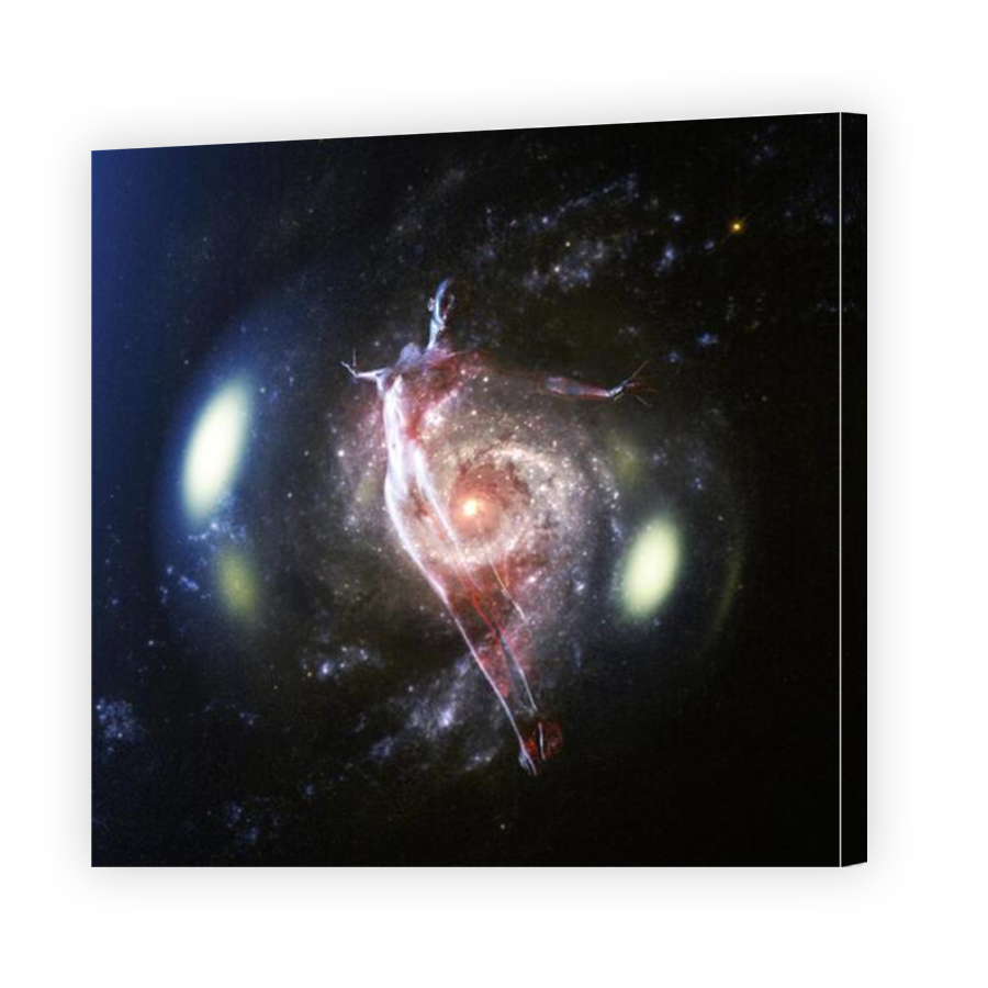 Thumbnail for Canvas - Mirror Image Canvas Wrap