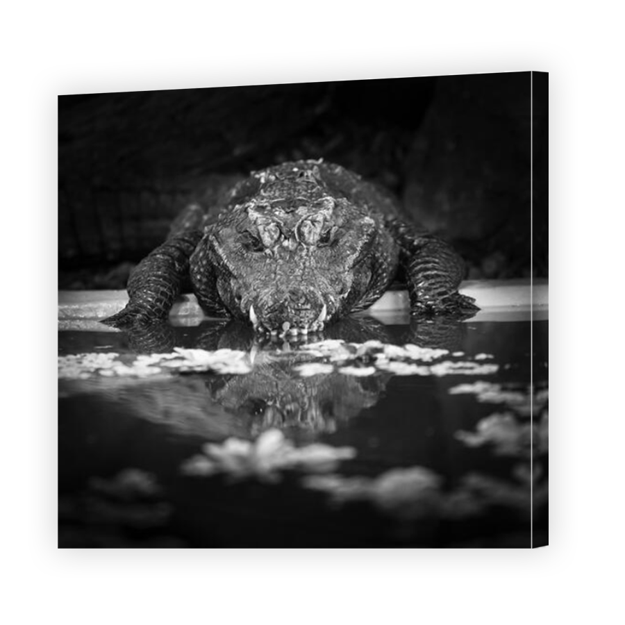 Thumbnail for Canvas - Mirror Image Canvas Wrap