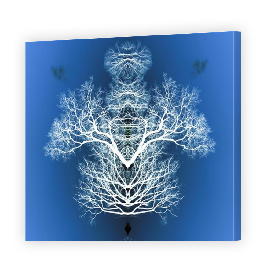 Thumbnail for Canvas - Mirror Image Canvas Wrap