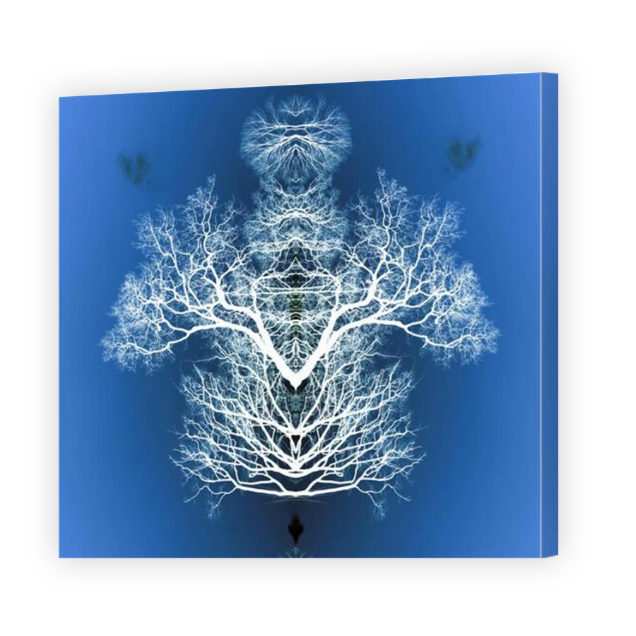 Thumbnail for Canvas - Mirror Image Canvas Wrap