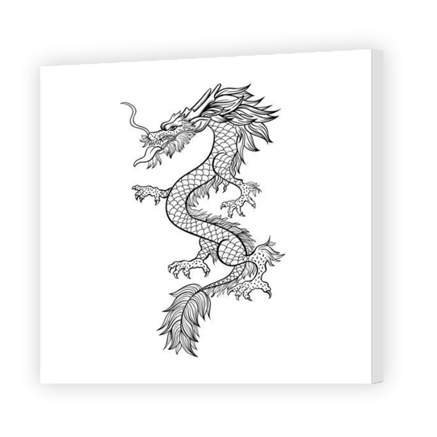 Thumbnail for Canvas - Mirror Image Canvas Wrap