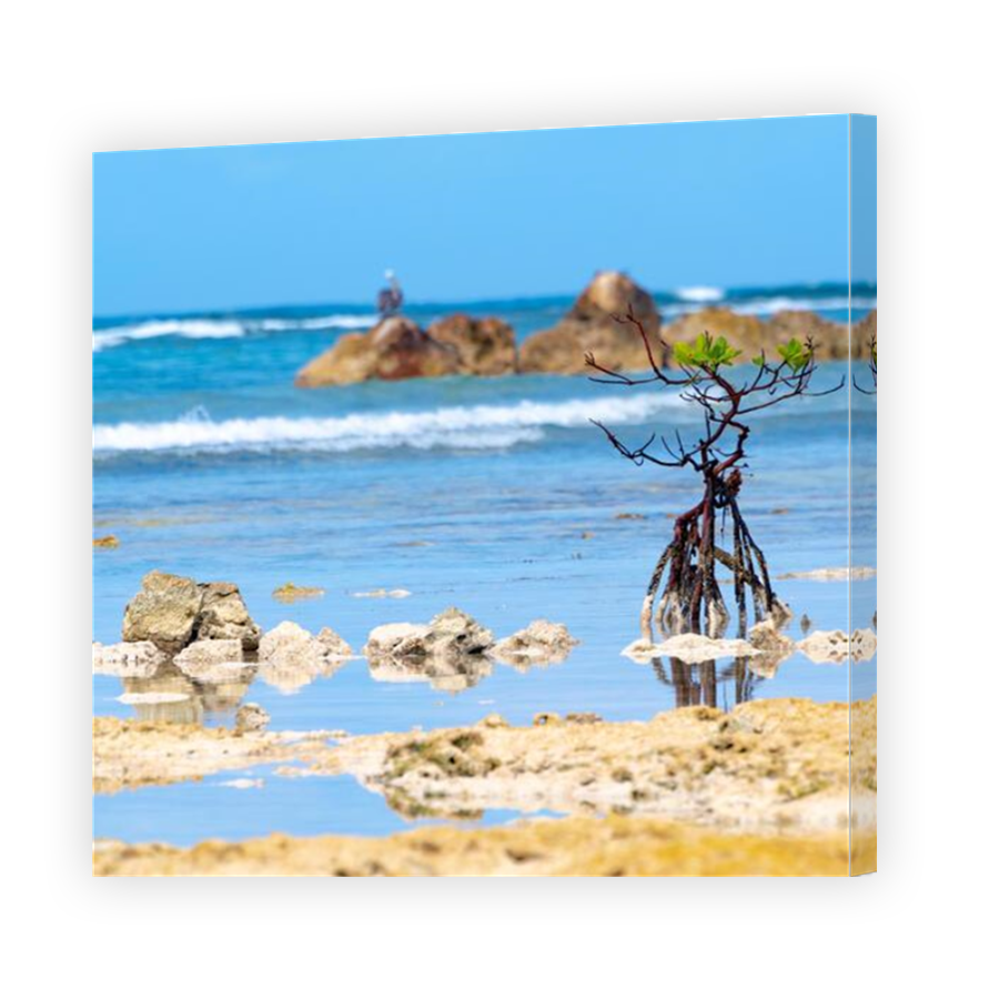 Thumbnail for Canvas - Mirror Image Canvas Wrap