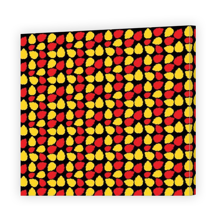 Thumbnail for Canvas - Mirror Image Canvas Wrap