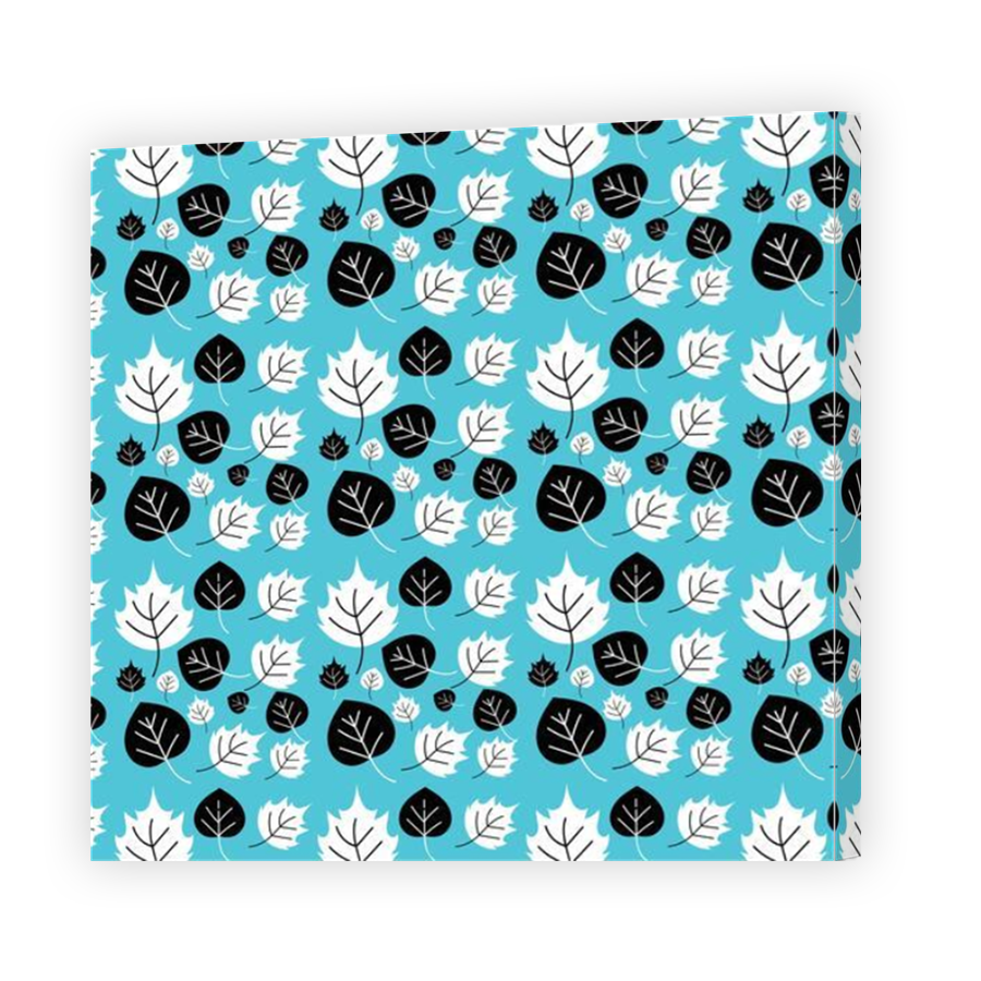 Thumbnail for Canvas - Mirror Image Canvas Wrap