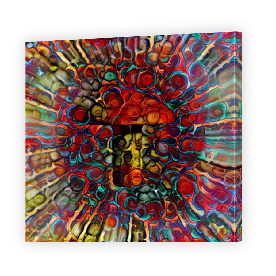 Thumbnail for Canvas - Mirror Image Canvas Wrap