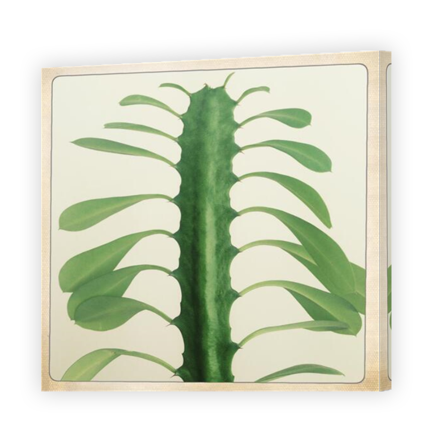Thumbnail for Canvas - Mirror Image Canvas Wrap