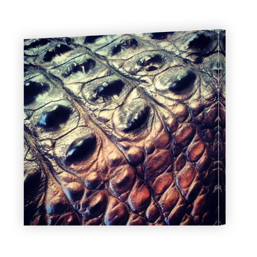 Thumbnail for Canvas - Mirror Image Canvas Wrap