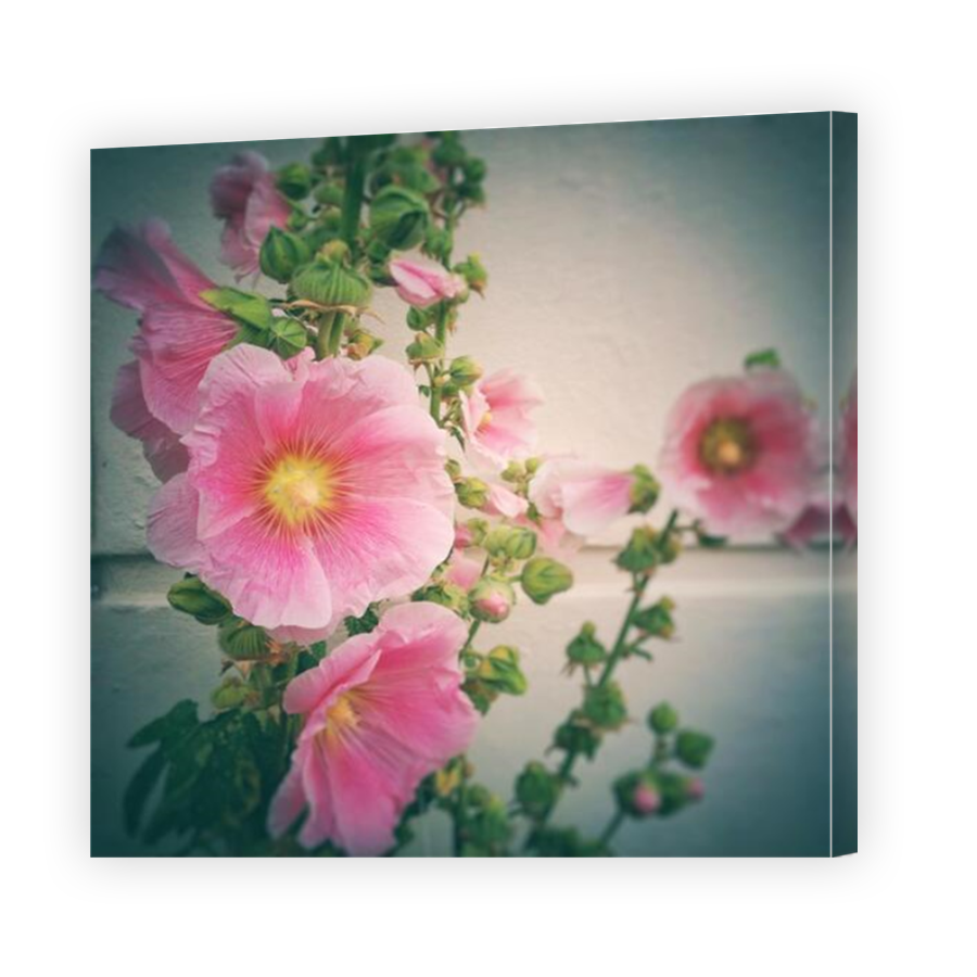 Thumbnail for Canvas - Mirror Image Canvas Wrap