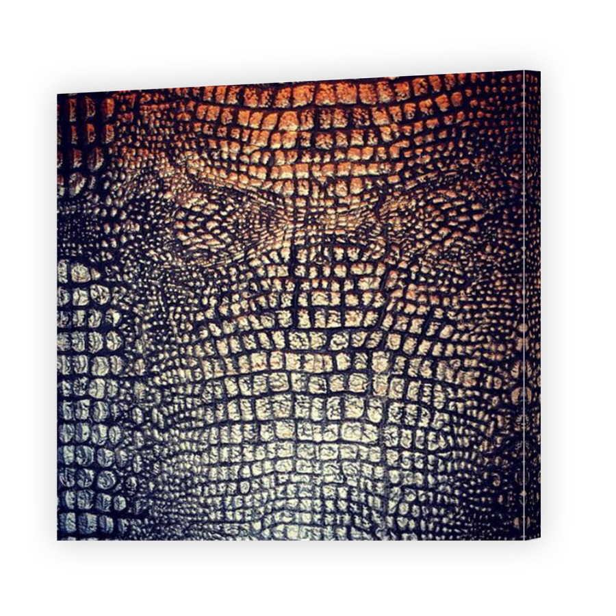 Thumbnail for Canvas - Mirror Image Canvas Wrap