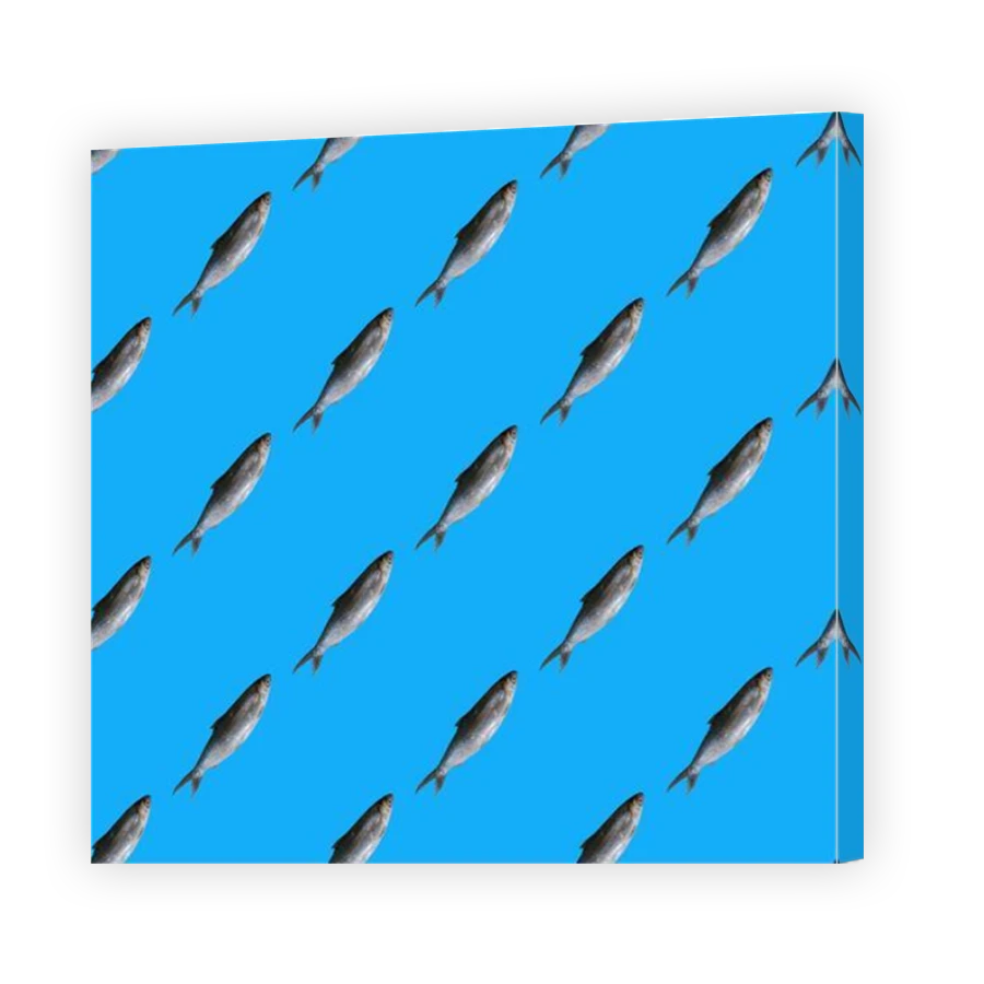 Thumbnail for Canvas - Mirror Image Canvas Wrap