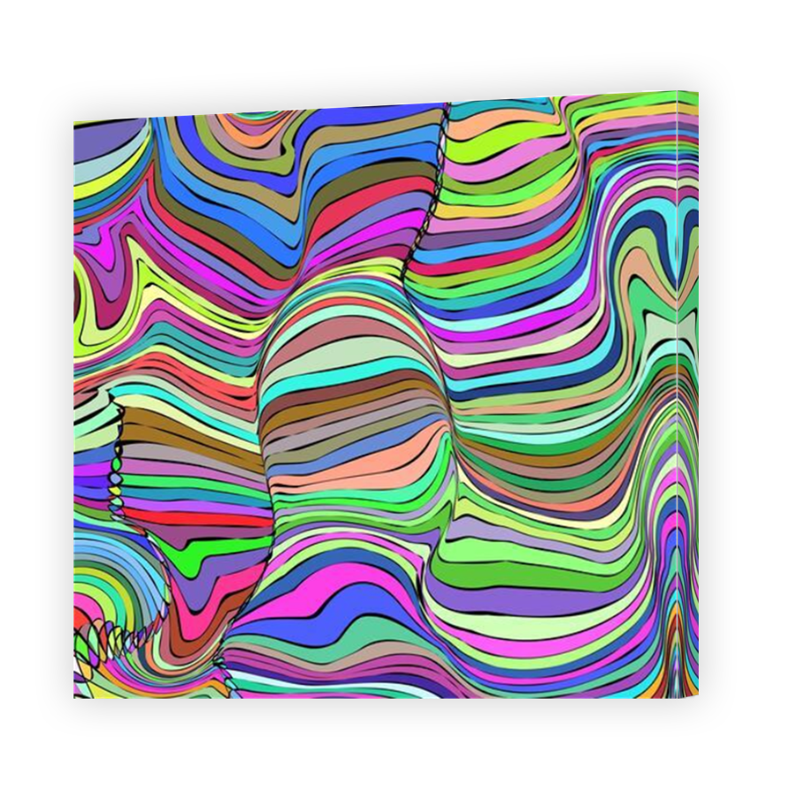 Thumbnail for Canvas - Mirror Image Canvas Wrap