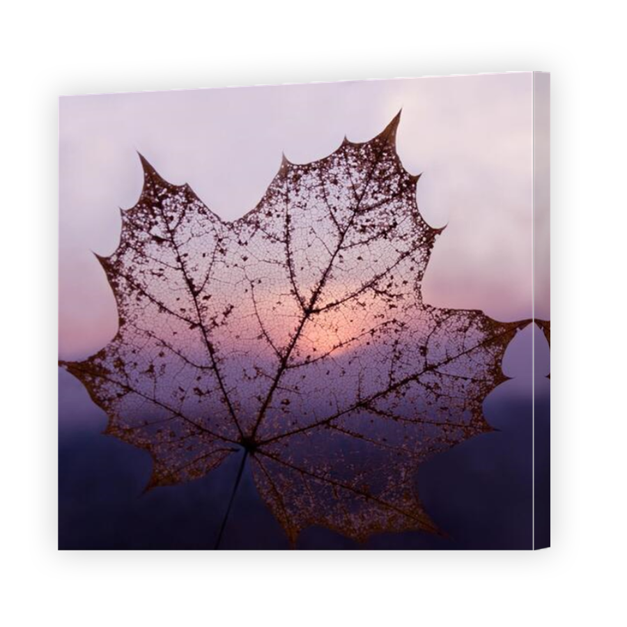 Thumbnail for Canvas - Mirror Image Canvas Wrap