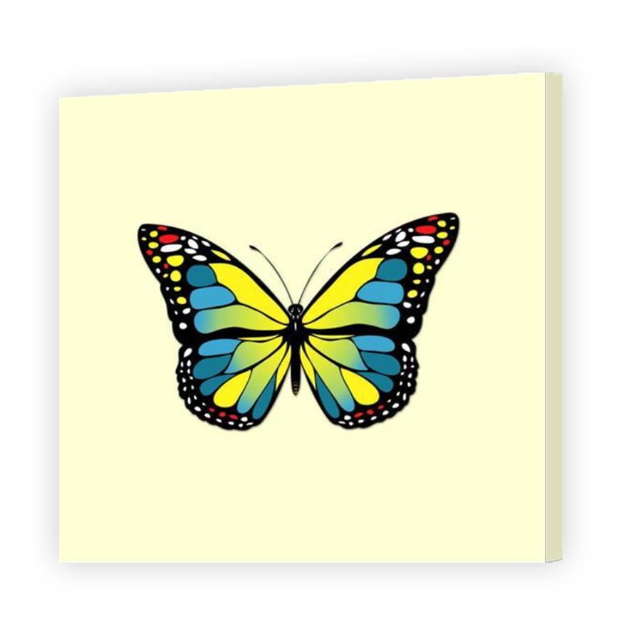 Thumbnail for Canvas - Mirror Image Canvas Wrap
