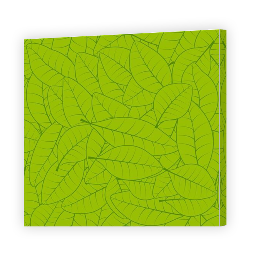 Thumbnail for Canvas - Mirror Image Canvas Wrap
