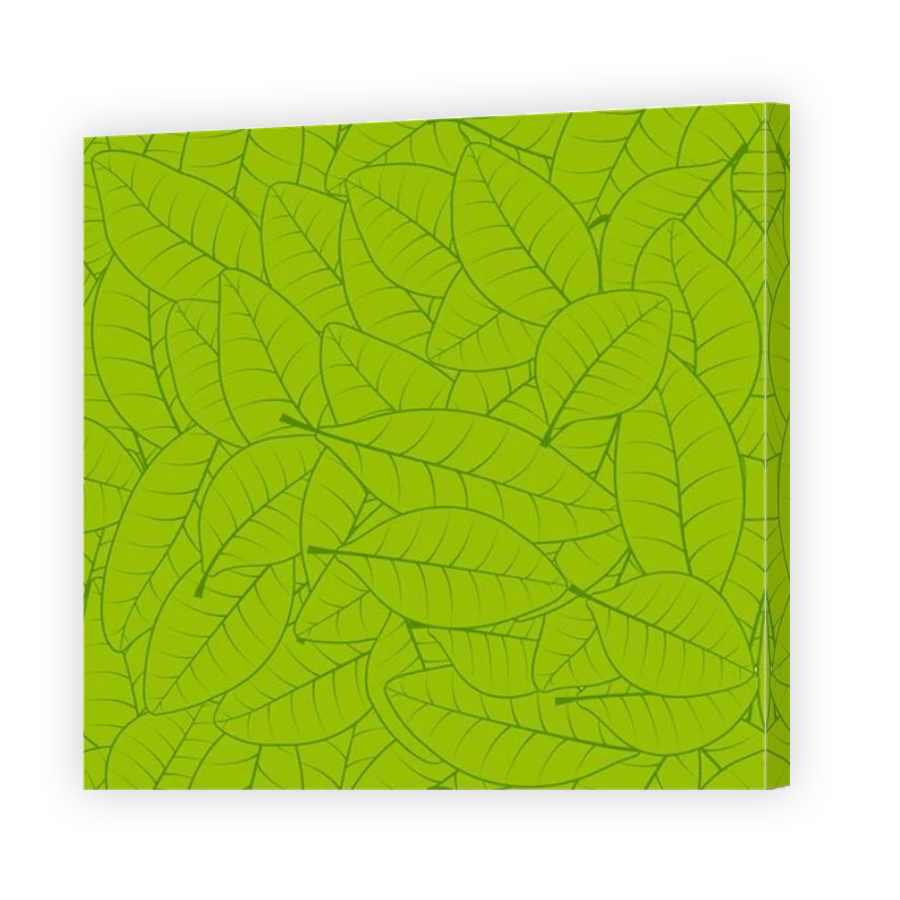 Thumbnail for Canvas - Mirror Image Canvas Wrap