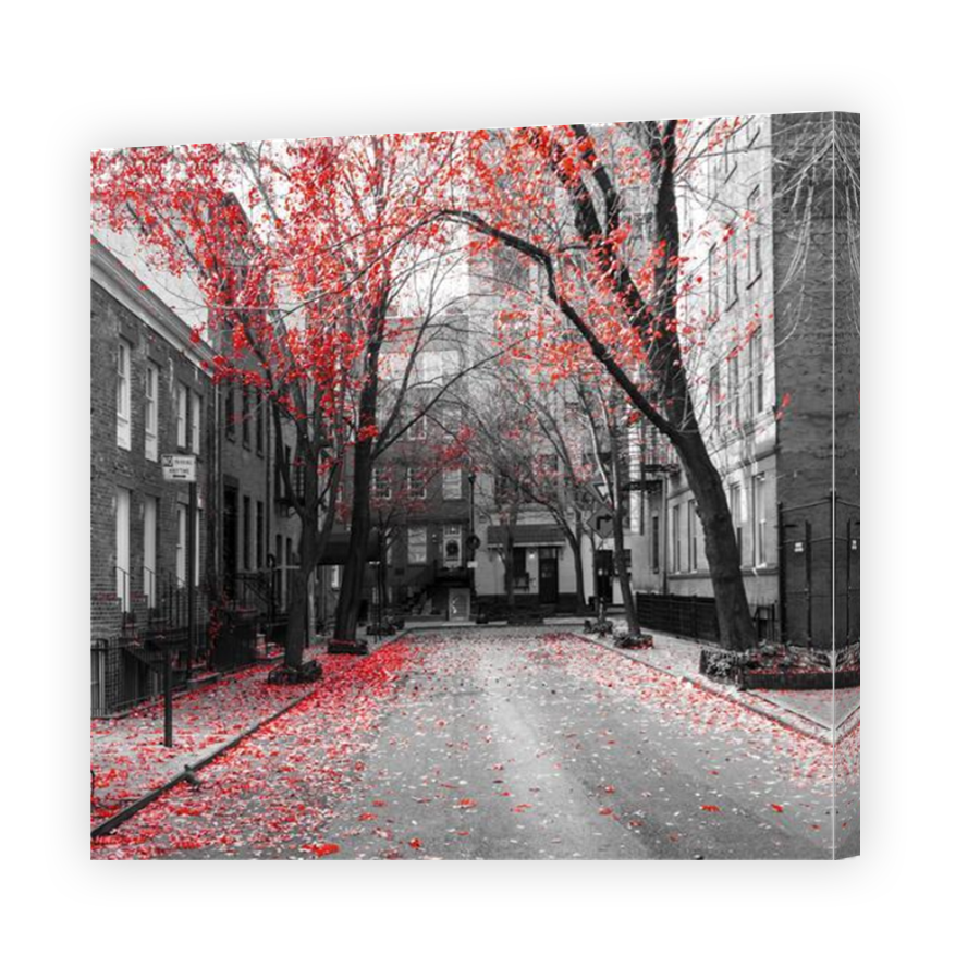 Thumbnail for Canvas - Mirror Image Canvas Wrap