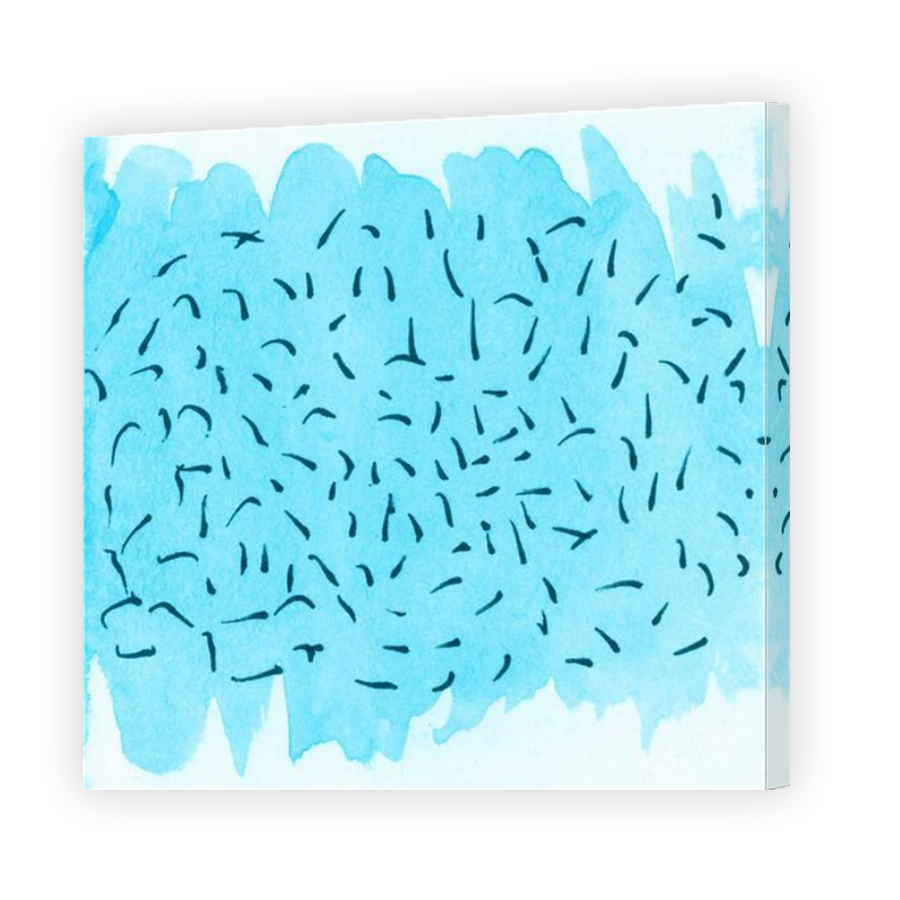 Thumbnail for Canvas - Mirror Image Canvas Wrap