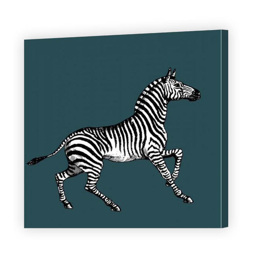 Thumbnail for Canvas - Mirror Image Canvas Wrap