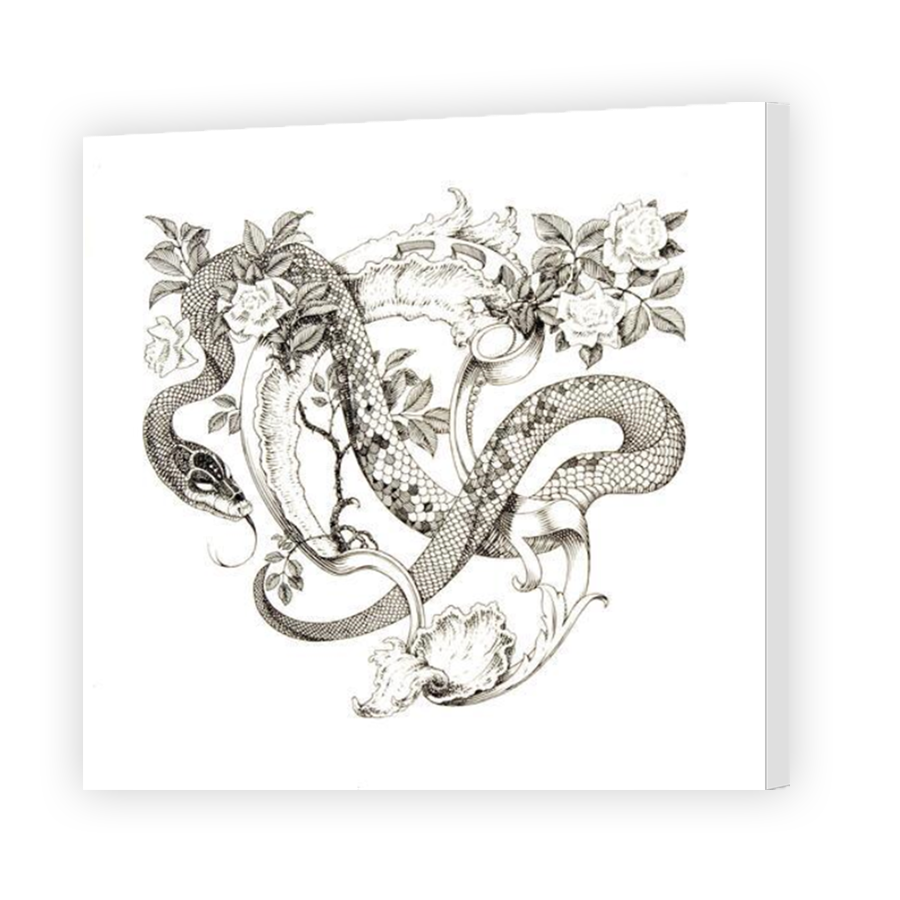Thumbnail for Canvas - Mirror Image Canvas Wrap