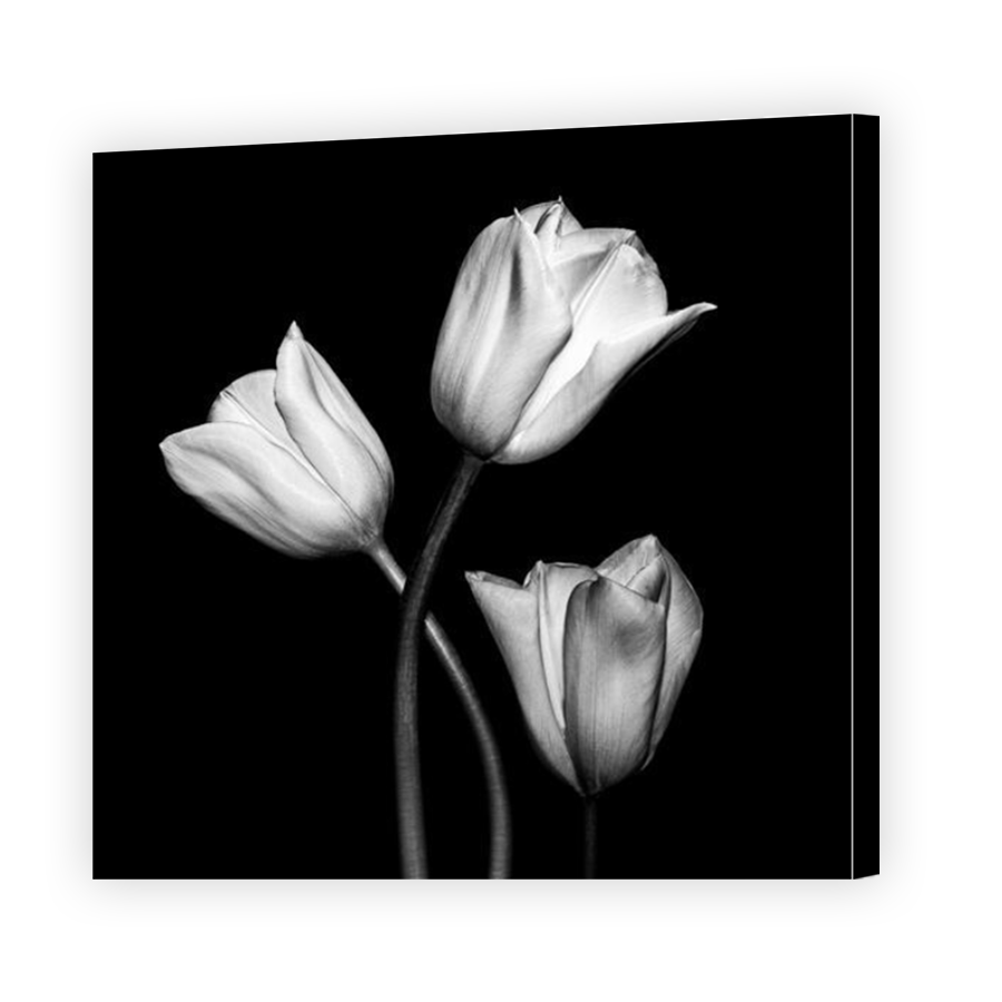 Thumbnail for Canvas - Mirror Image Canvas Wrap