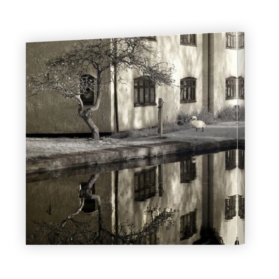 Thumbnail for Canvas - Mirror Image Canvas Wrap