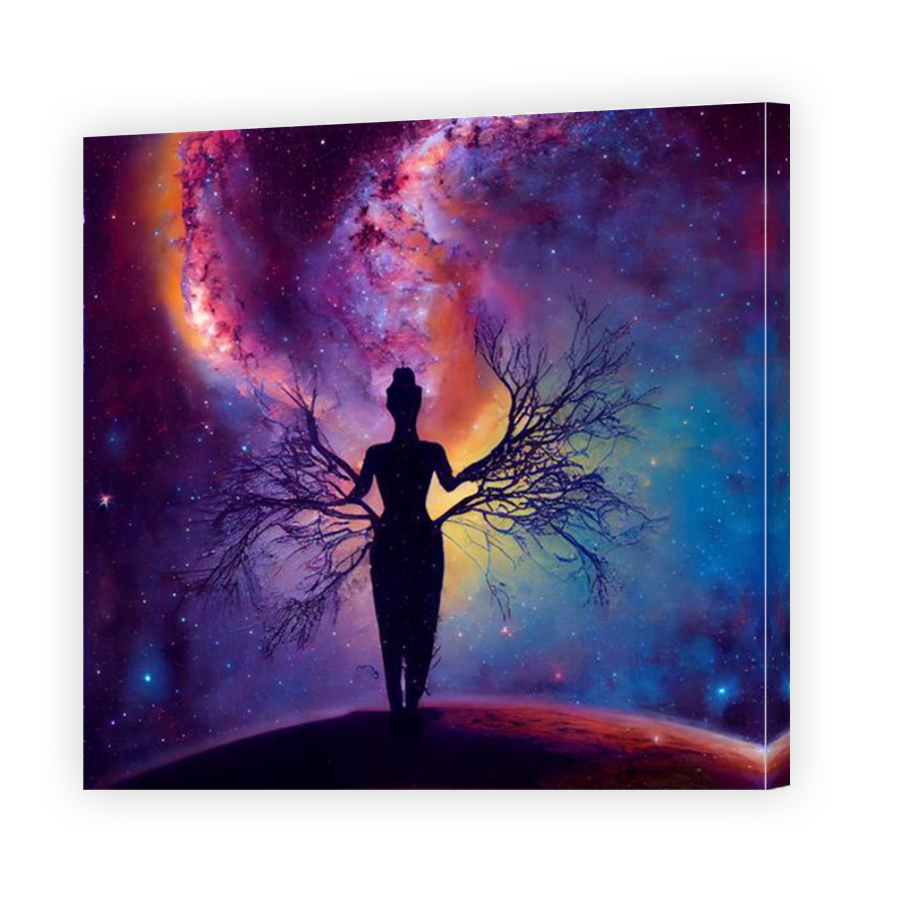 Thumbnail for Canvas - Mirror Image Canvas Wrap