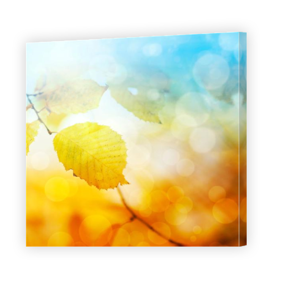 Thumbnail for Canvas - Mirror Image Canvas Wrap