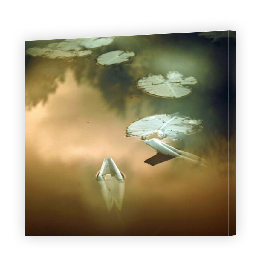 Thumbnail for Canvas - Mirror Image Canvas Wrap