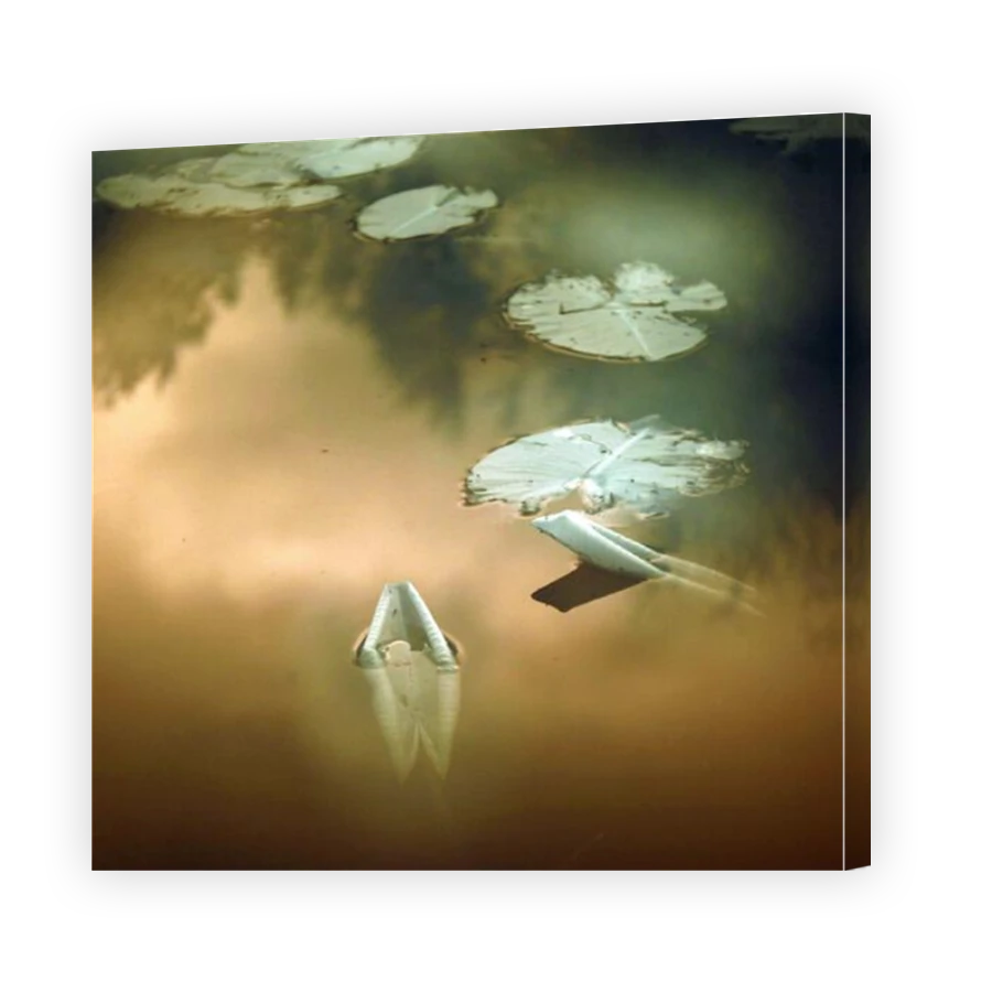 Thumbnail for Canvas - Mirror Image Canvas Wrap