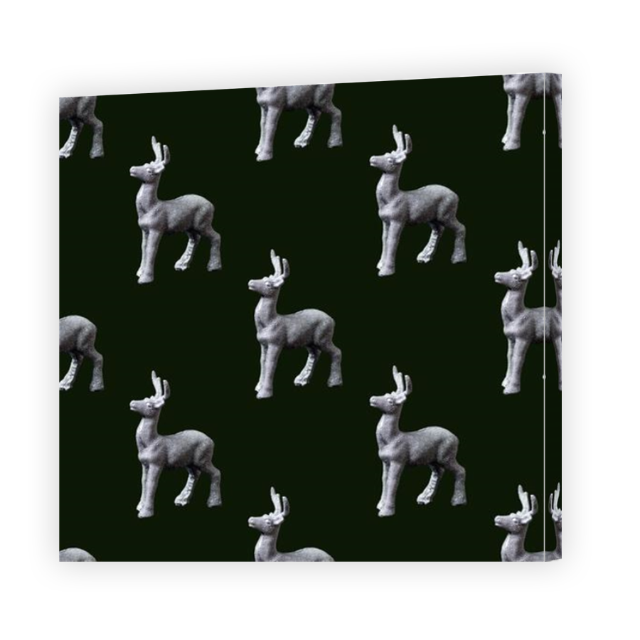 Thumbnail for Canvas - Mirror Image Canvas Wrap