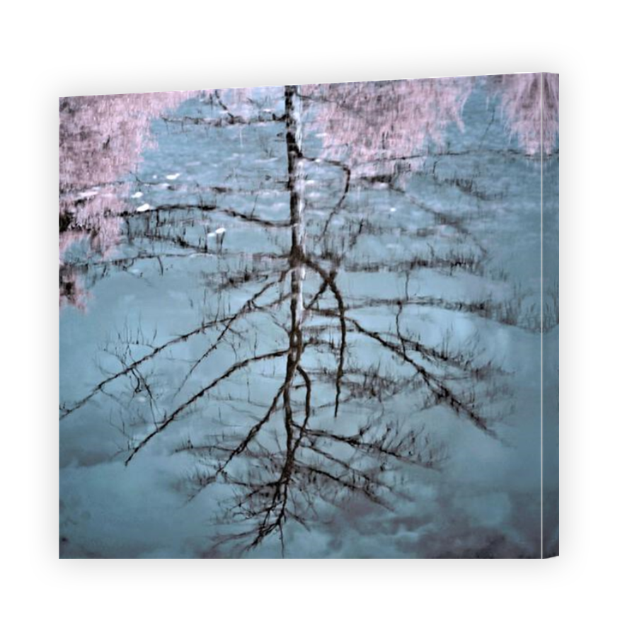 Thumbnail for Canvas - Mirror Image Canvas Wrap