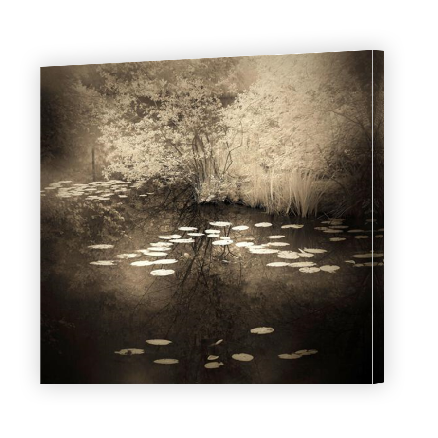 Thumbnail for Canvas - Mirror Image Canvas Wrap
