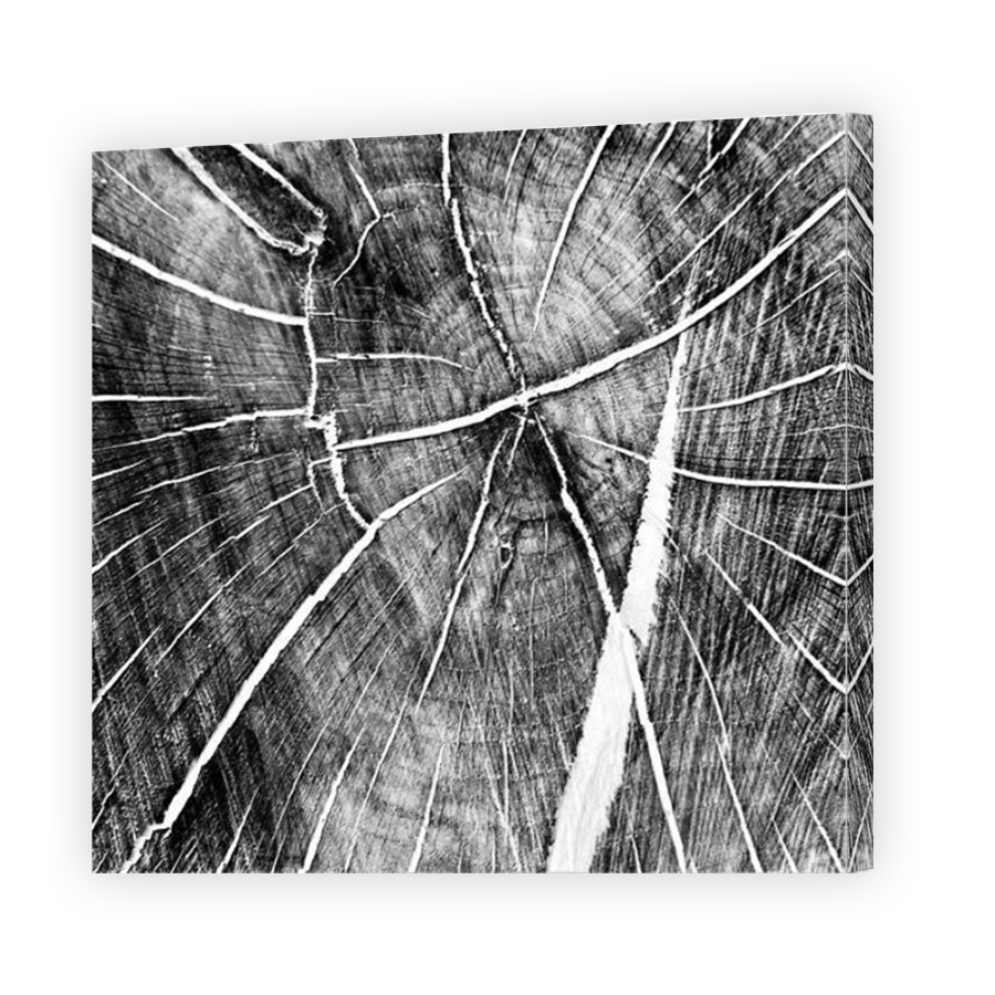 Thumbnail for Canvas - Mirror Image Canvas Wrap