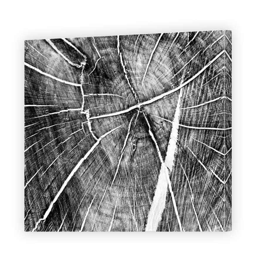 Thumbnail for Canvas - Mirror Image Canvas Wrap