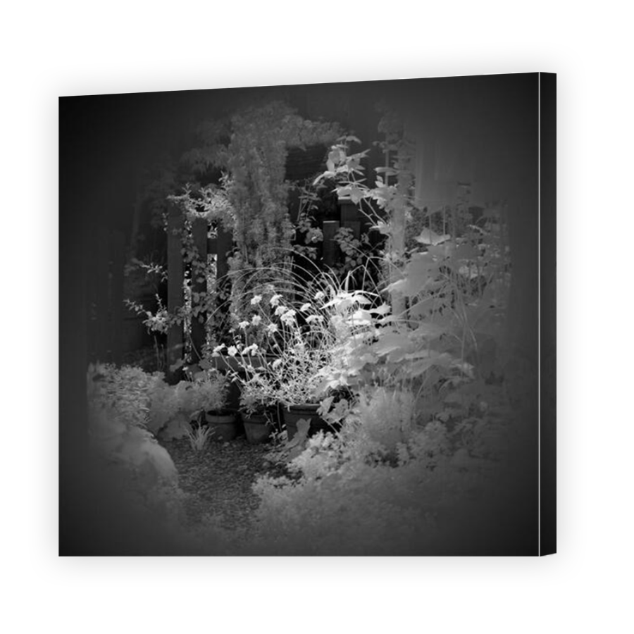 Thumbnail for Canvas - Mirror Image Canvas Wrap