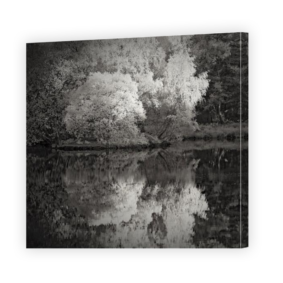Thumbnail for Canvas - Mirror Image Canvas Wrap