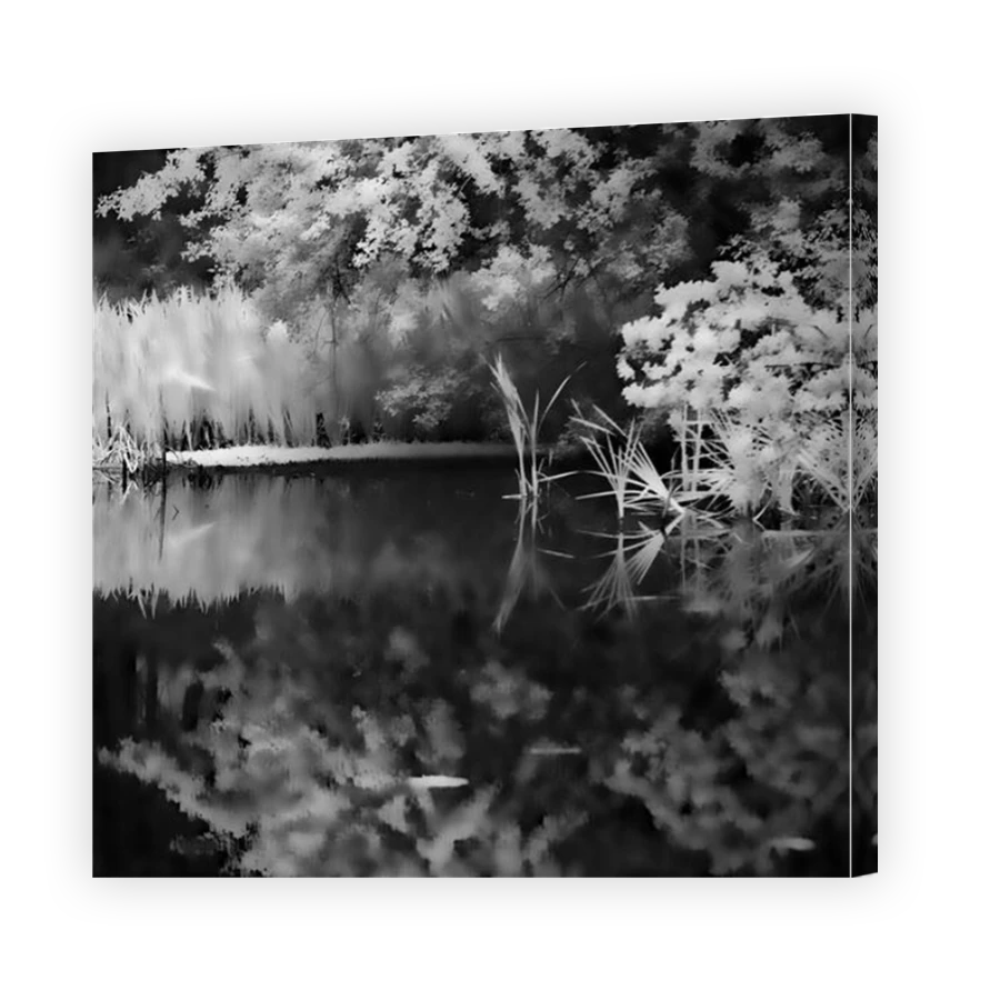 Thumbnail for Canvas - Mirror Image Canvas Wrap