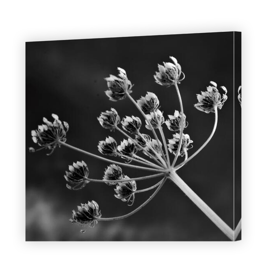 Thumbnail for Canvas - Mirror Image Canvas Wrap