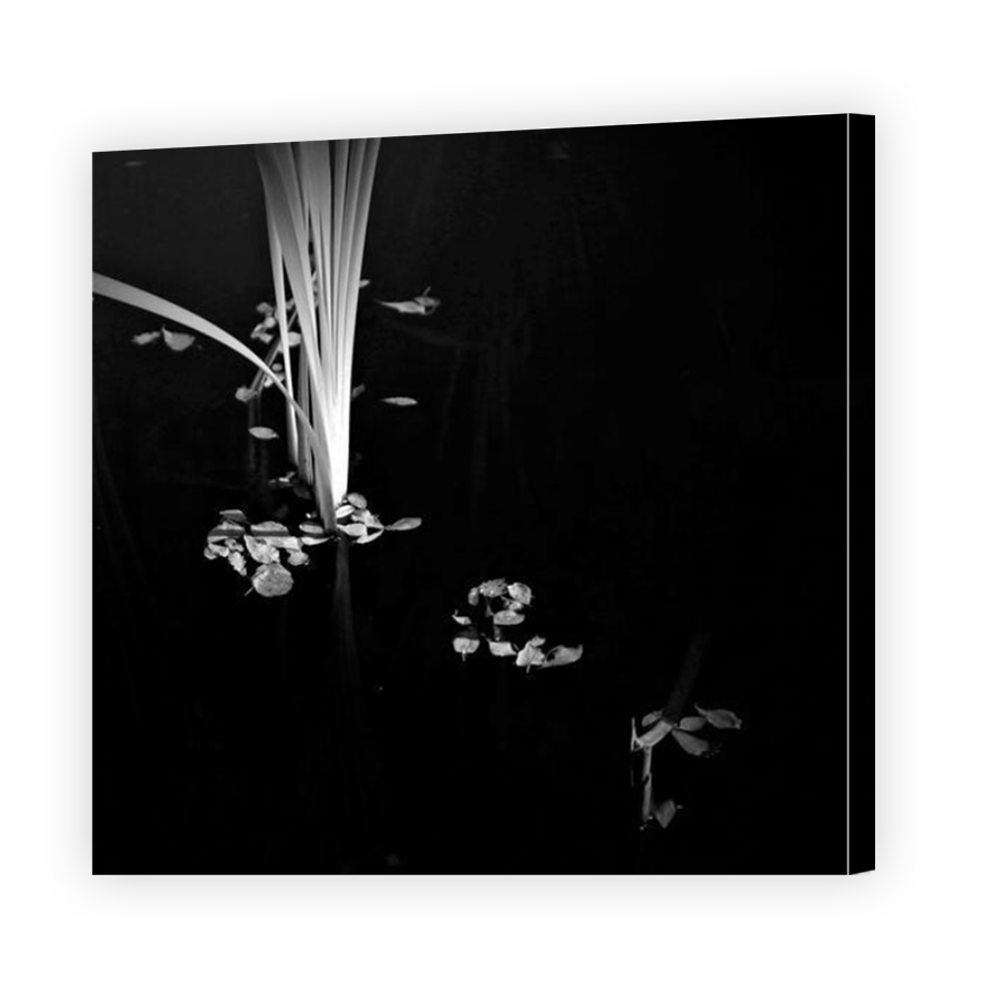Thumbnail for Canvas - Mirror Image Canvas Wrap