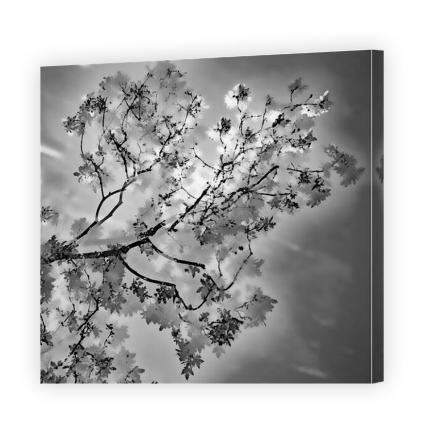 Thumbnail for Canvas - Mirror Image Canvas Wrap