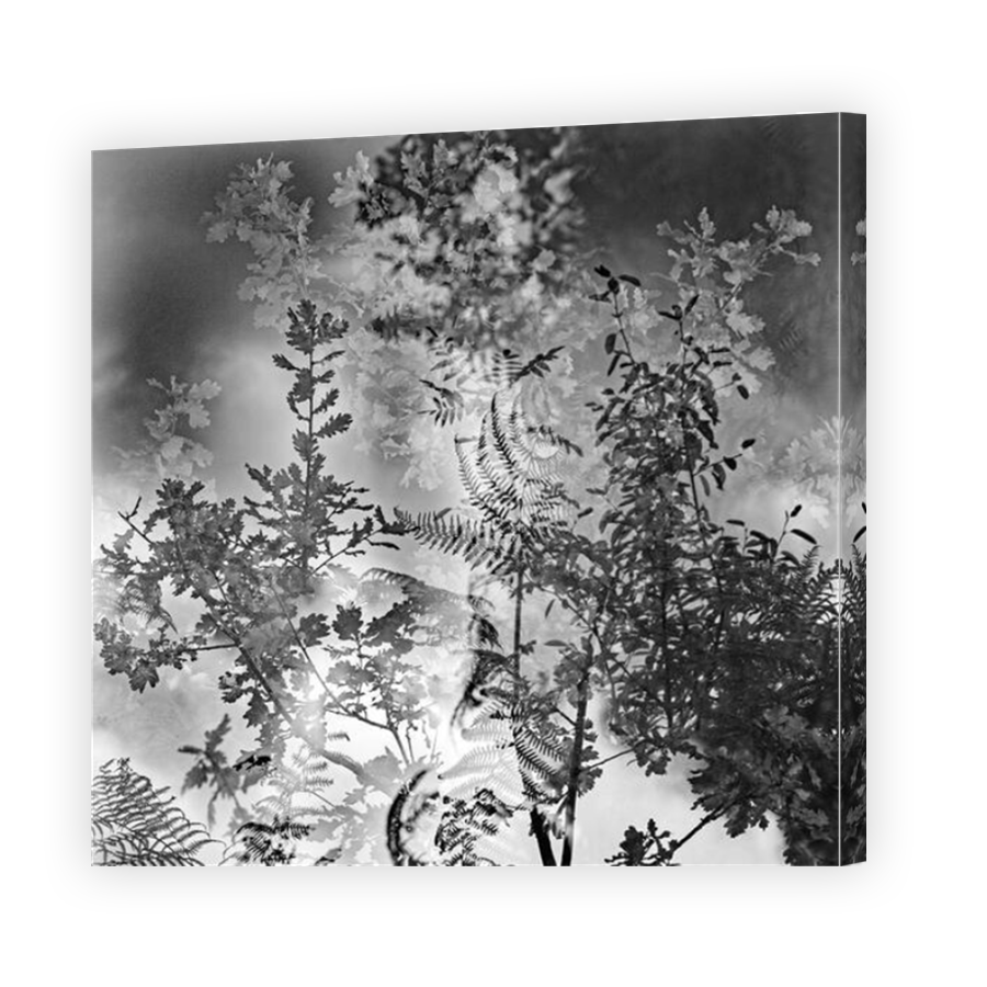 Thumbnail for Canvas - Mirror Image Canvas Wrap