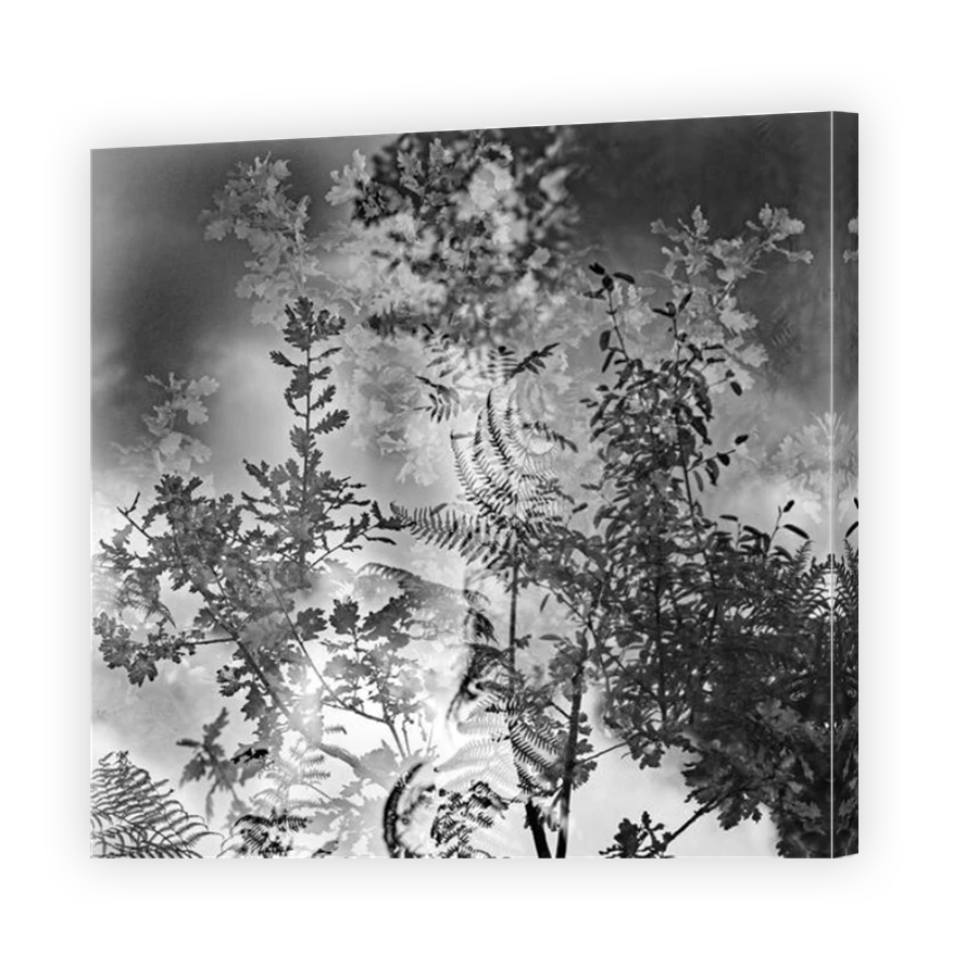 Thumbnail for Canvas - Mirror Image Canvas Wrap
