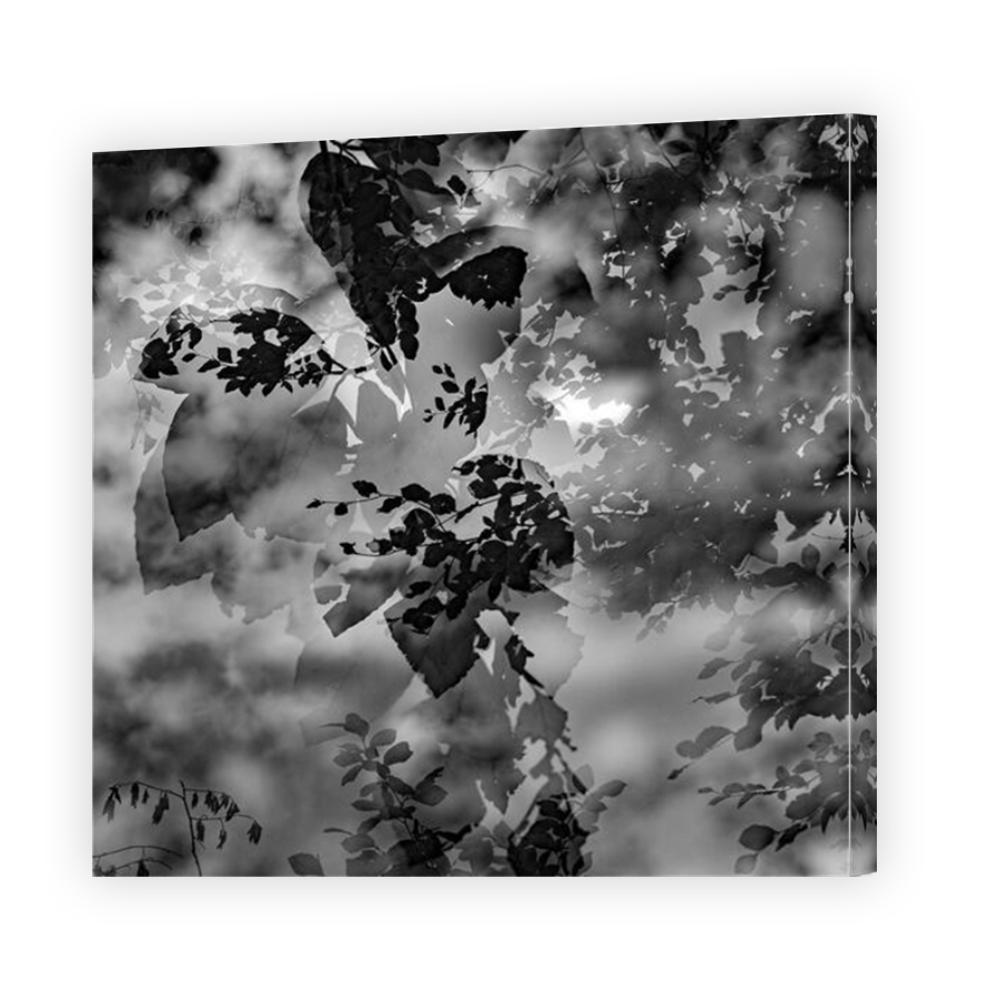 Thumbnail for Canvas - Mirror Image Canvas Wrap
