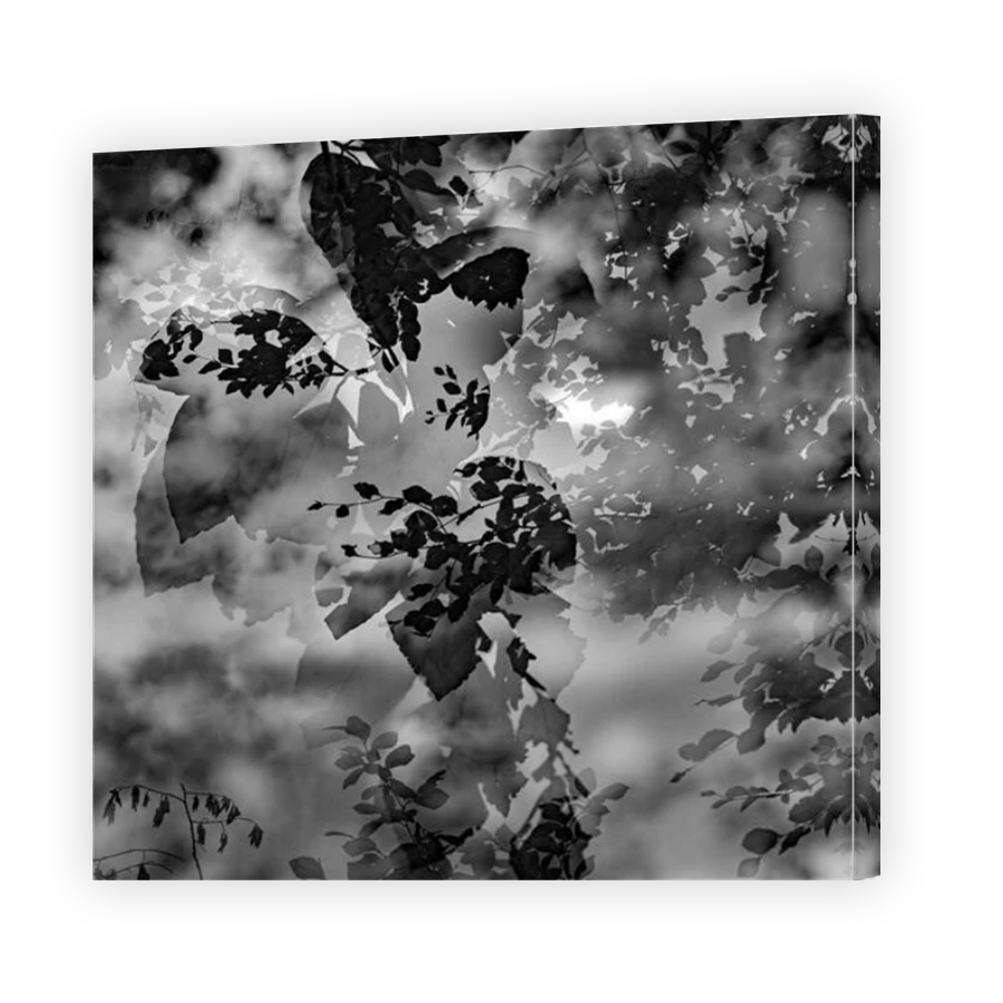 Thumbnail for Canvas - Mirror Image Canvas Wrap