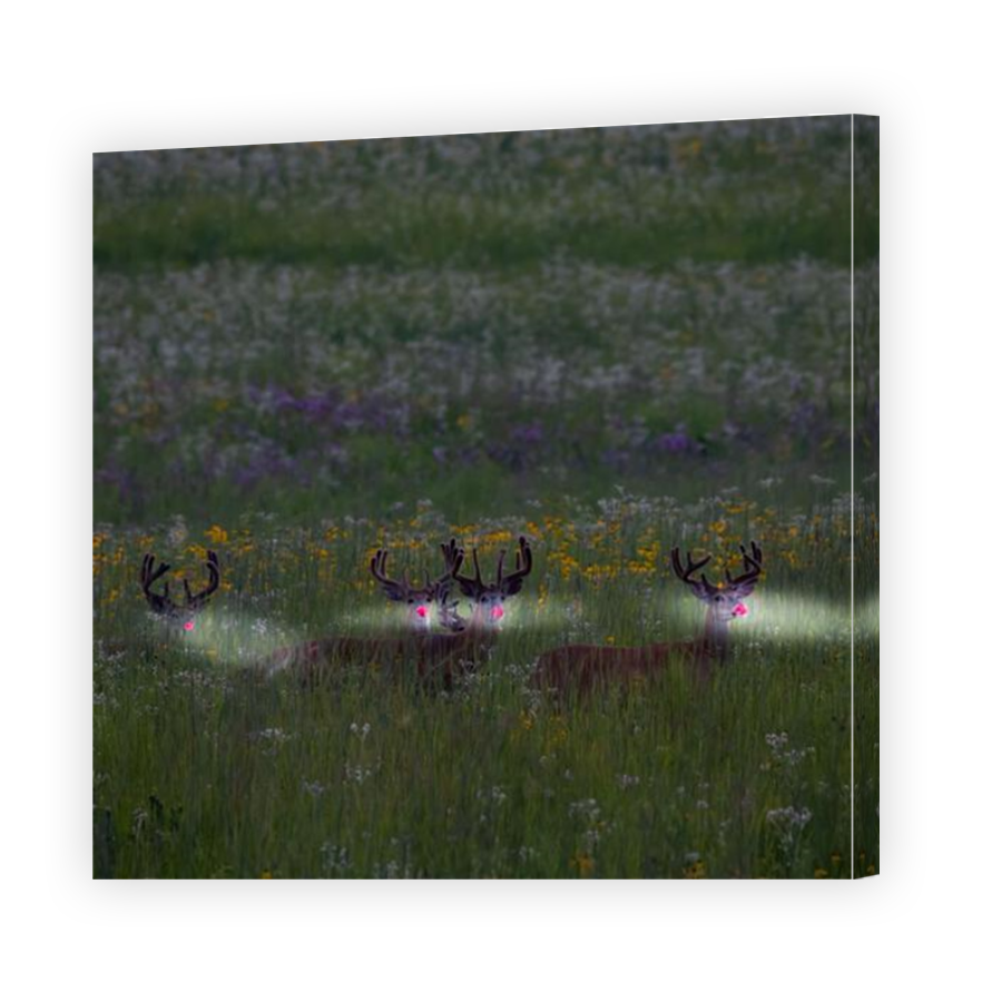 Thumbnail for Canvas - Mirror Image Canvas Wrap
