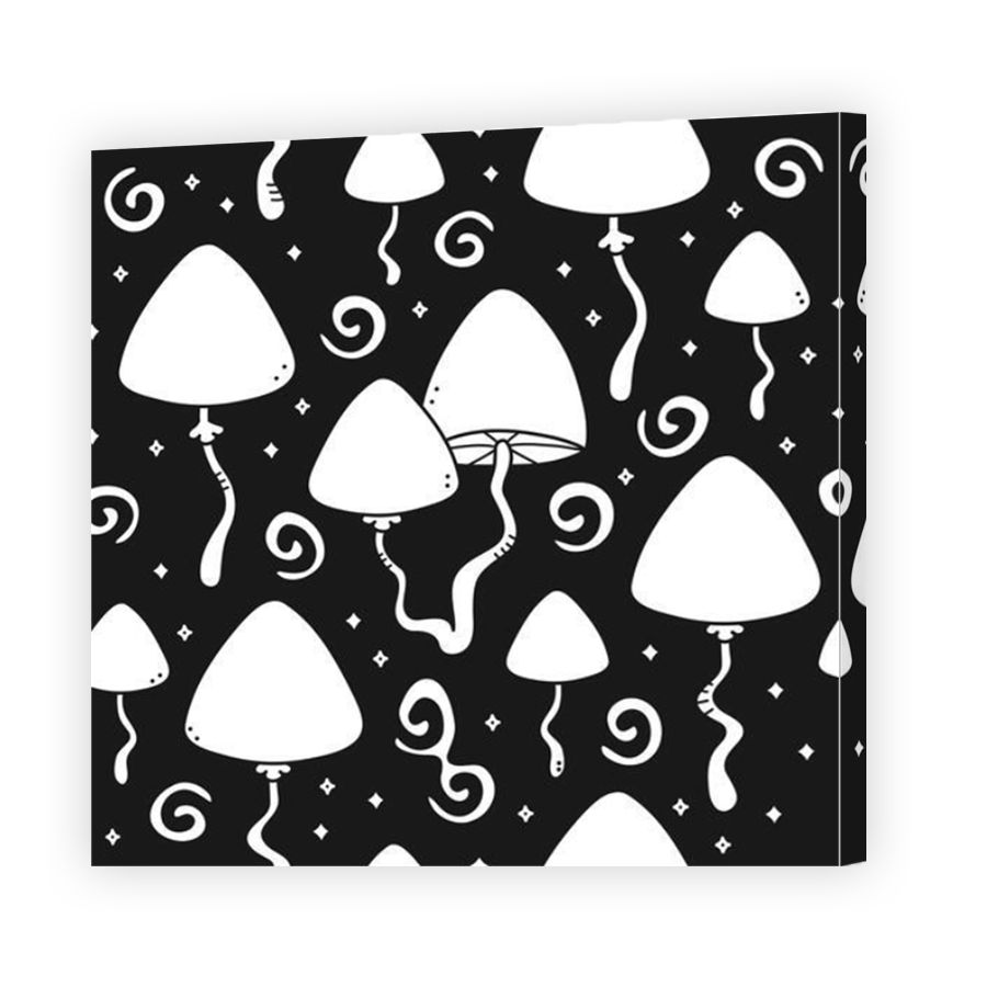 Thumbnail for Canvas - Mirror Image Canvas Wrap