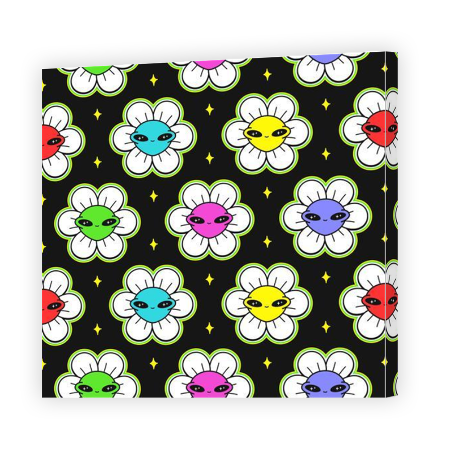 Thumbnail for Canvas - Mirror Image Canvas Wrap