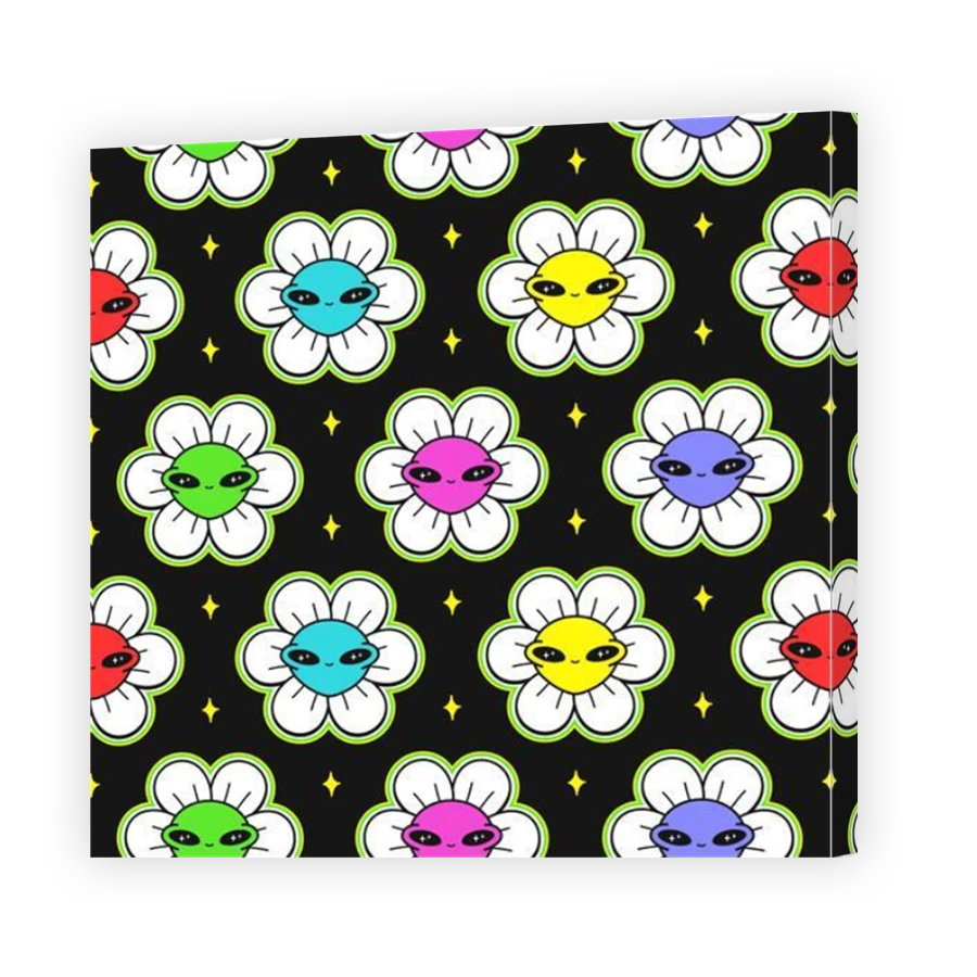 Thumbnail for Canvas - Mirror Image Canvas Wrap