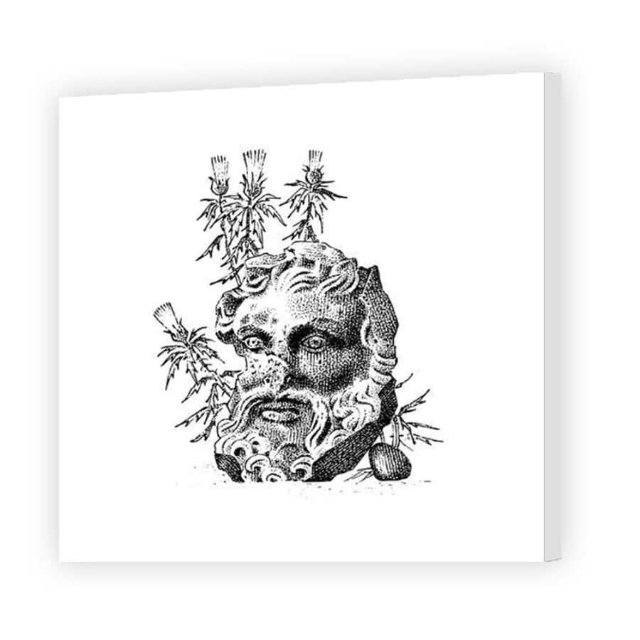 Thumbnail for Canvas - Mirror Image Canvas Wrap